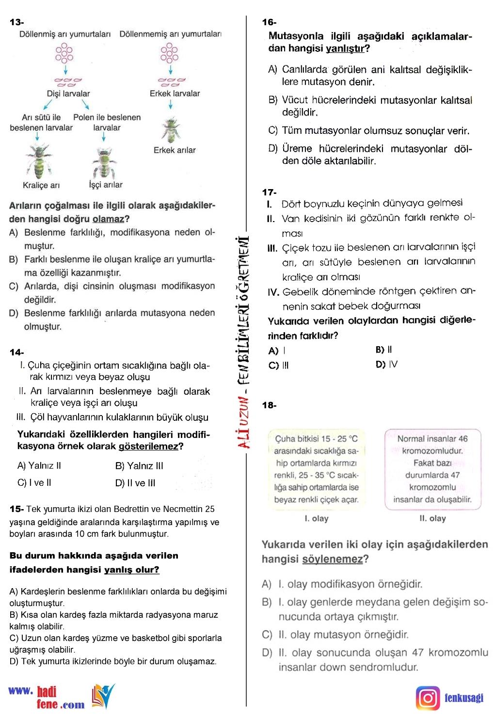 2 Unite Dna Ve Genetik Kod Mutasyon Ve Modifikasyon Hadi Fene Fen Egitim Merkezi